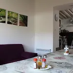 Vive Tu Camino *