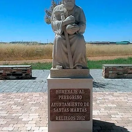 Vive Tu Camino *