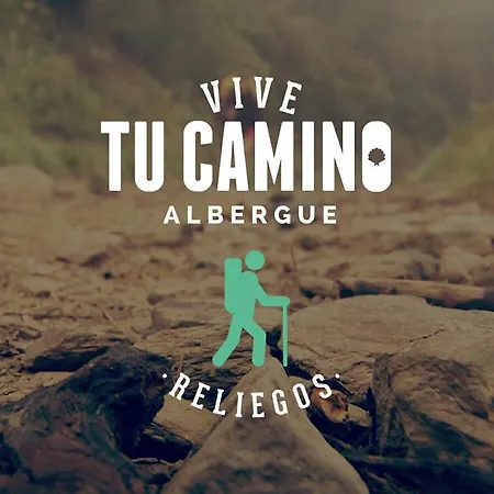 Vive Tu Camino *