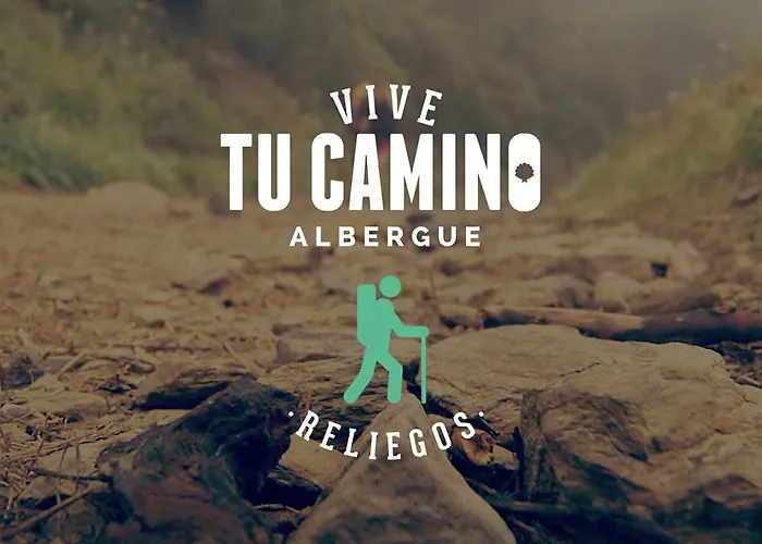 Vive Tu Camino *