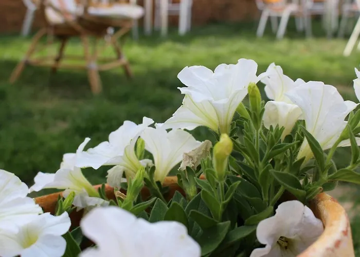 Vive Tu Camino 호스텔 *